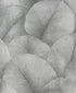 Palm Leaf wallpaper in silver grey color - pattern number 34508 - by Galerie in the Kumano collection