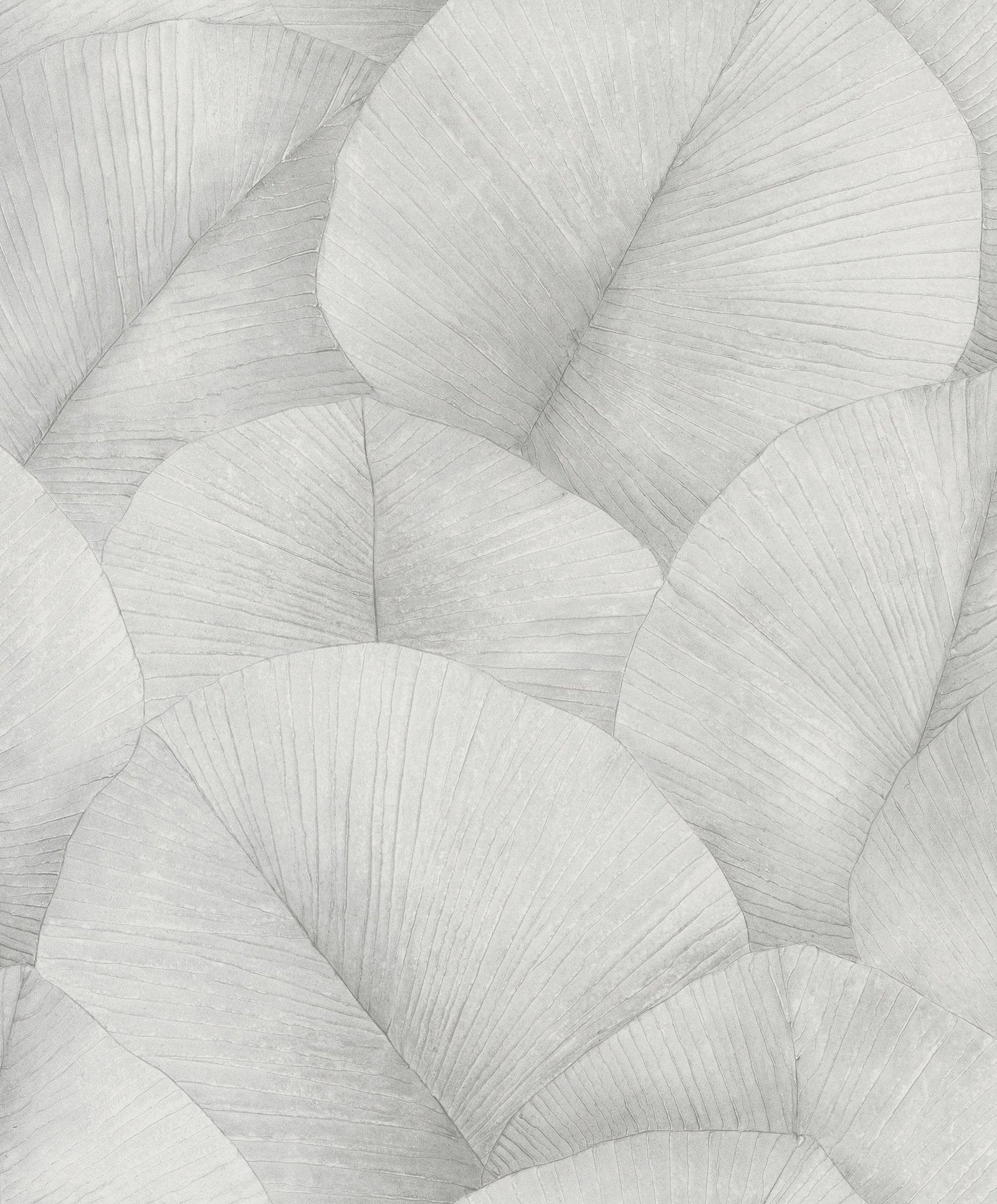 Palm Leaf wallpaper in silver grey color - pattern number 34509 - by Galerie in the Kumano collection