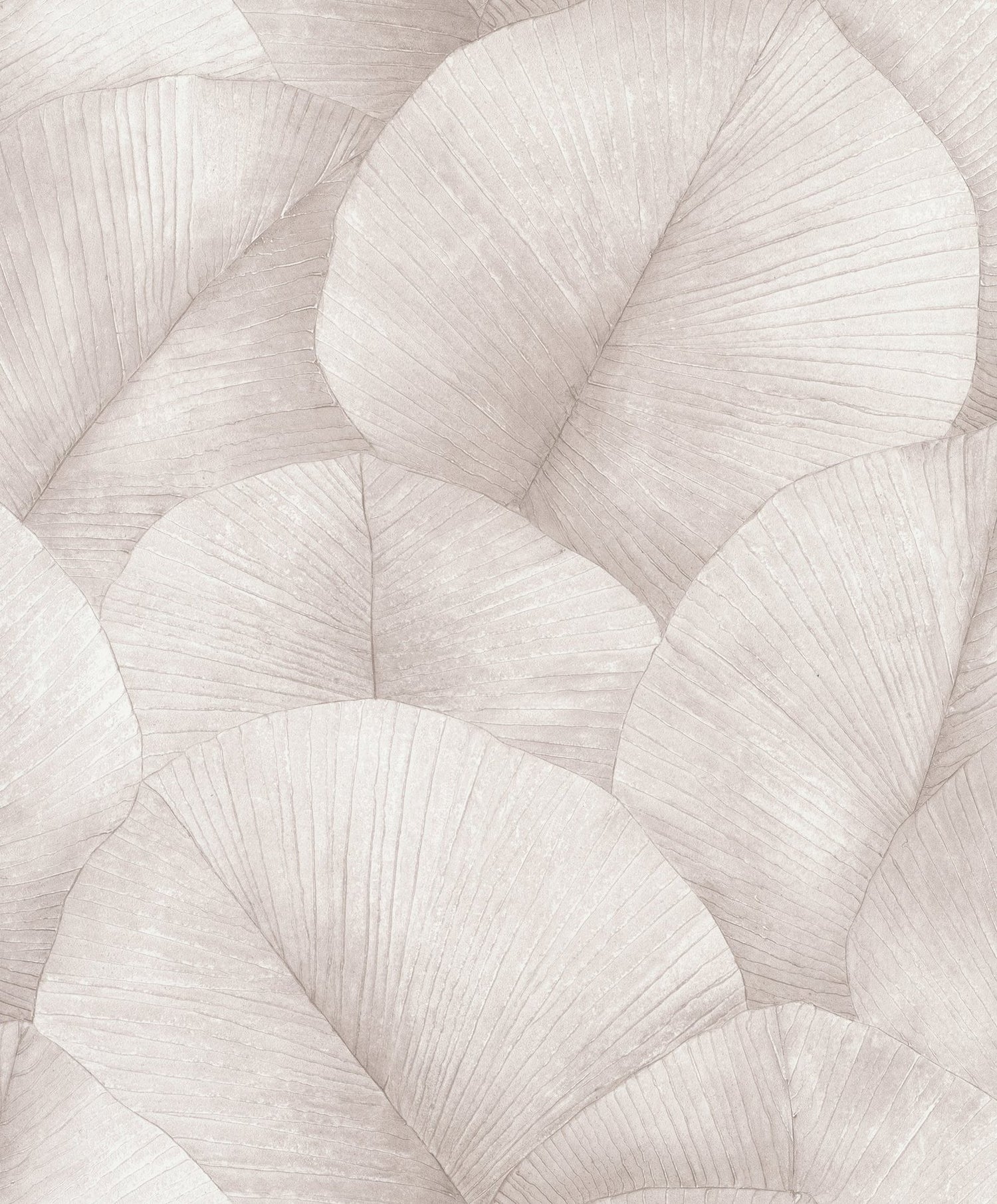 Palm Leaf wallpaper in pink color - pattern number 34511 - by Galerie in the Kumano collection