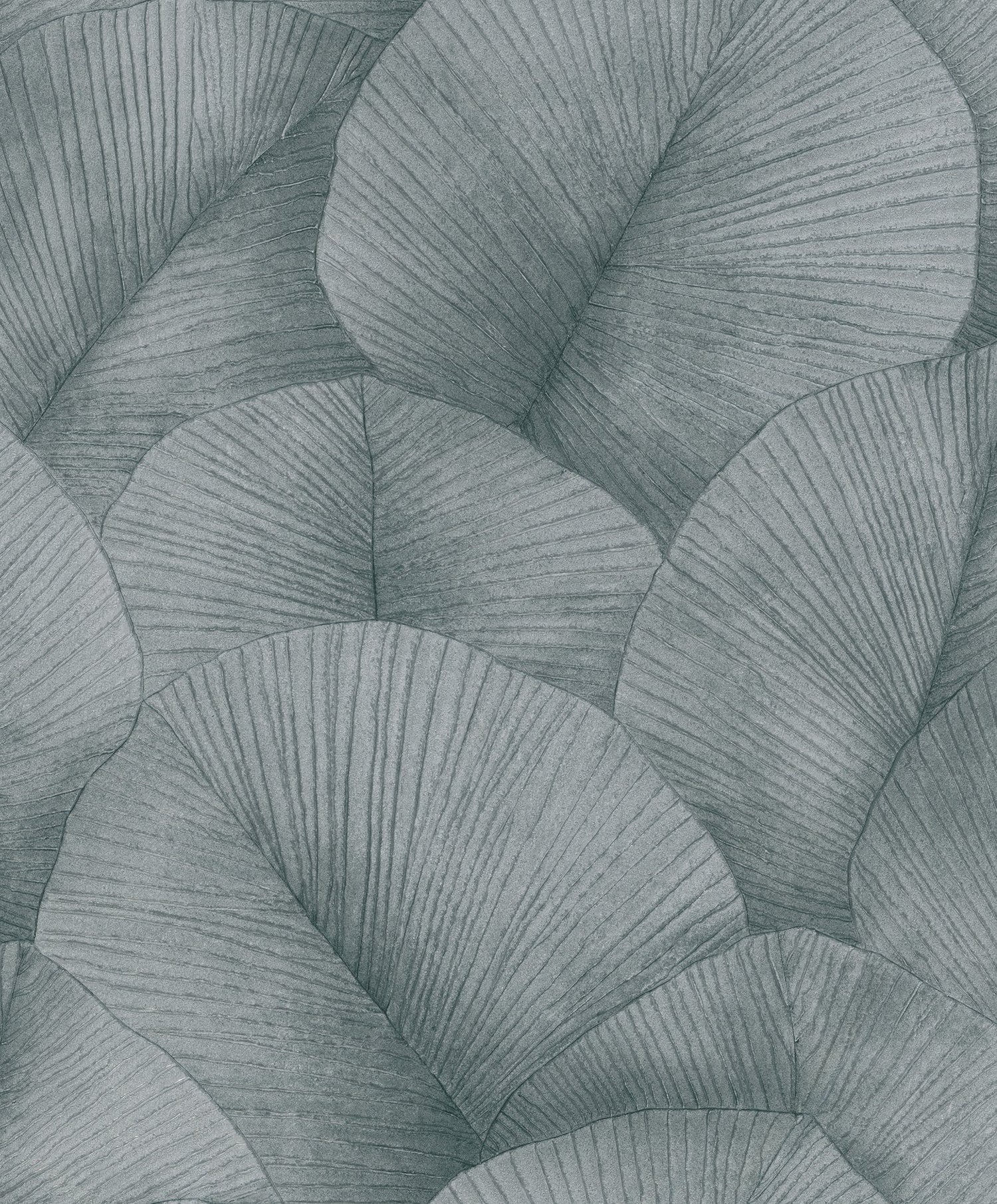Palm Leaf wallpaper in silver grey color - pattern number 34514 - by Galerie in the Kumano collection