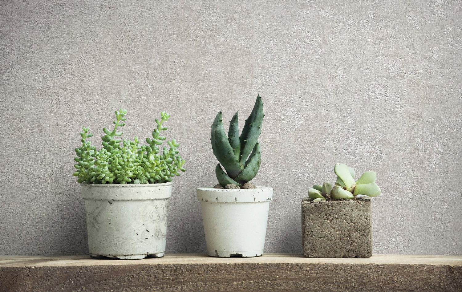 Plaster wallpaper in silver grey color - pattern number 34518 - by Galerie in the Kumano collection