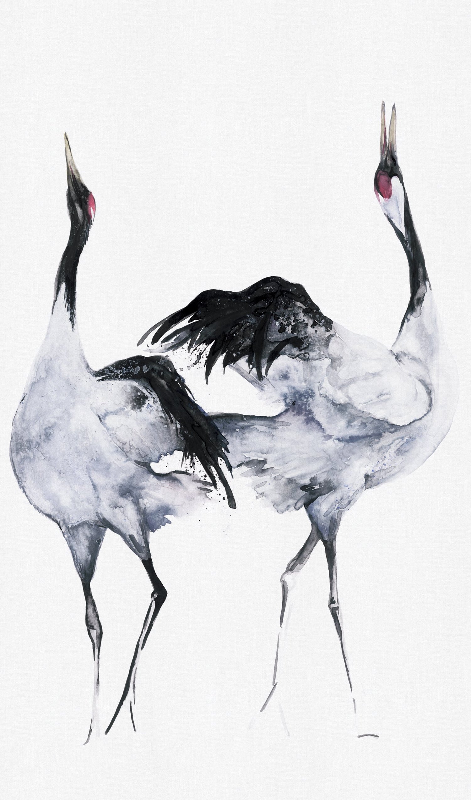 Painted Crane Mural mural in white color - pattern number 34595 - by Galerie in the Kumano collection