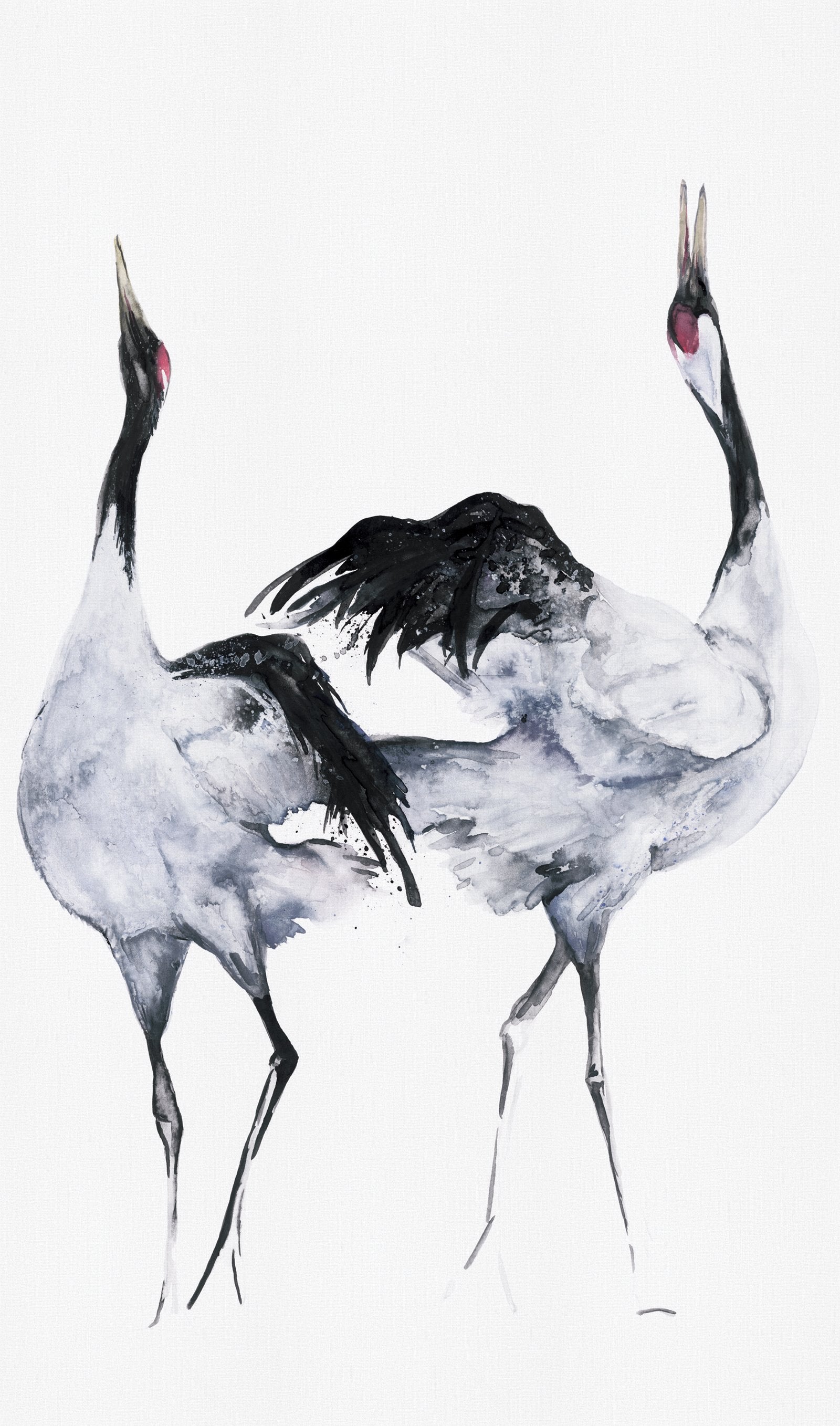 Painted Crane Mural mural in white color - pattern number 34595 - by Galerie in the Kumano collection