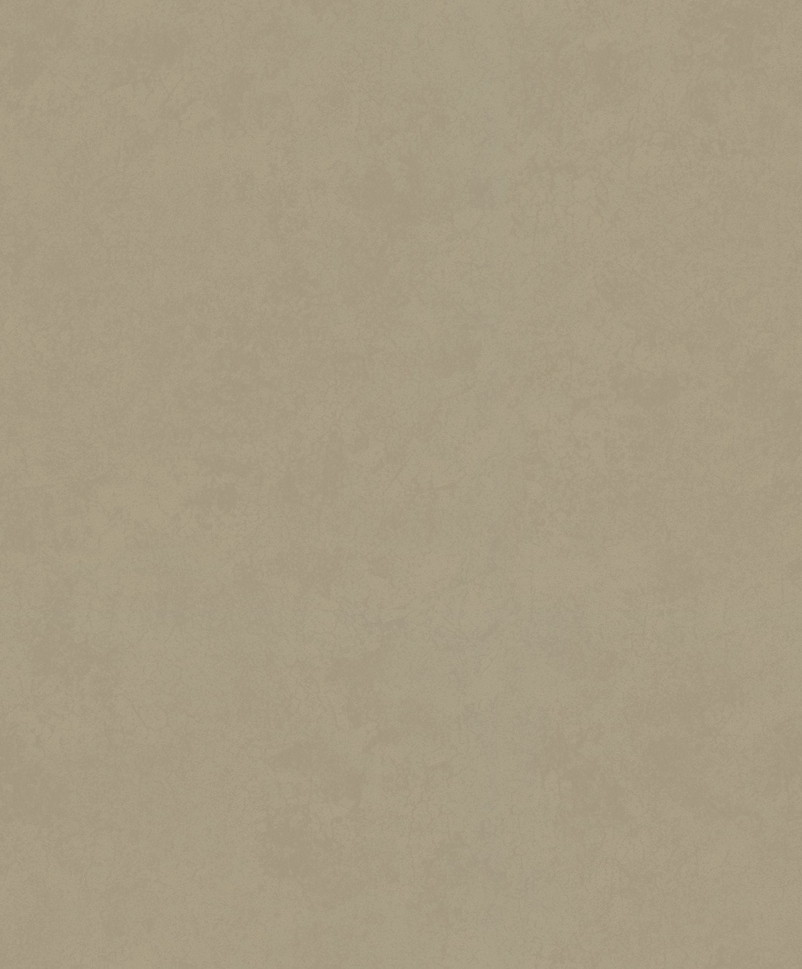Plaster Effect wallpaper in bronze brown color - pattern number TR34629 - by Galerie in the Terra collection
