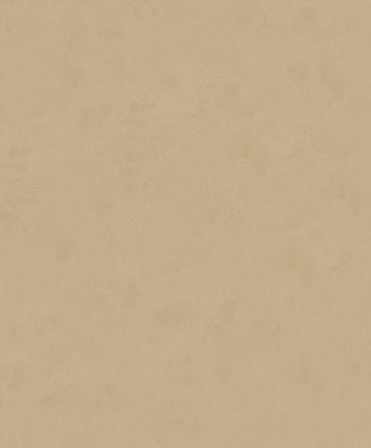 Plaster Effect wallpaper in beige color - pattern number TR34630 - by Galerie in the Terra collection