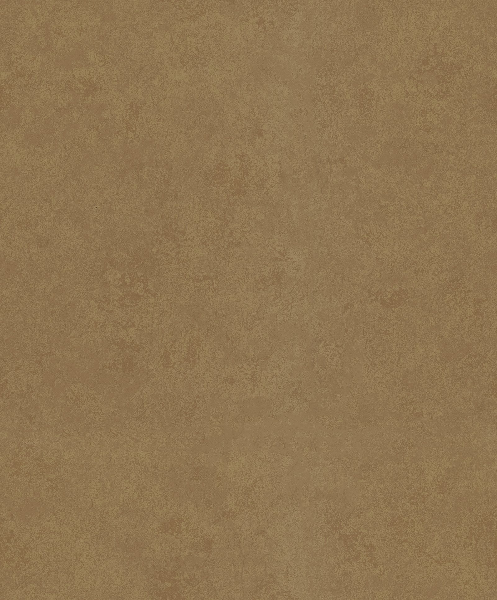 Plaster Effect wallpaper in bronze brown color - pattern number TR34631 - by Galerie in the Terra collection