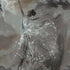 Graphics 4 Panel Mural in grey color - pattern number 35097 - by Galerie in the City Romance collection
