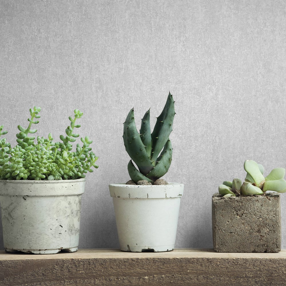 Concrete look Wallpaper in grey color - pattern number 35137 - by Galerie in the City Romance collection