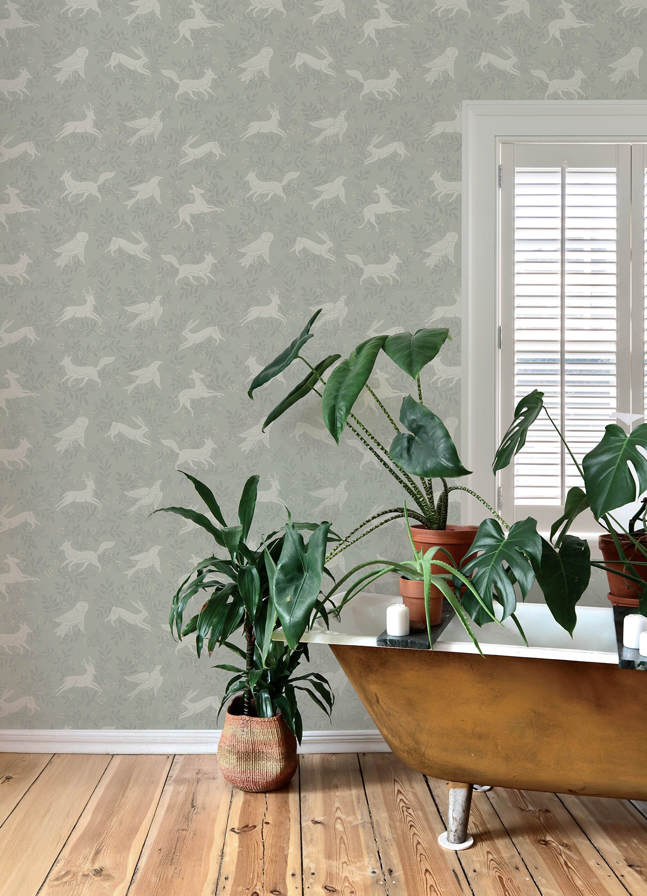 Revelry wallpaper in sage color - pattern number 4169-83115 - by Chesapeake in the Oak and Moss collection