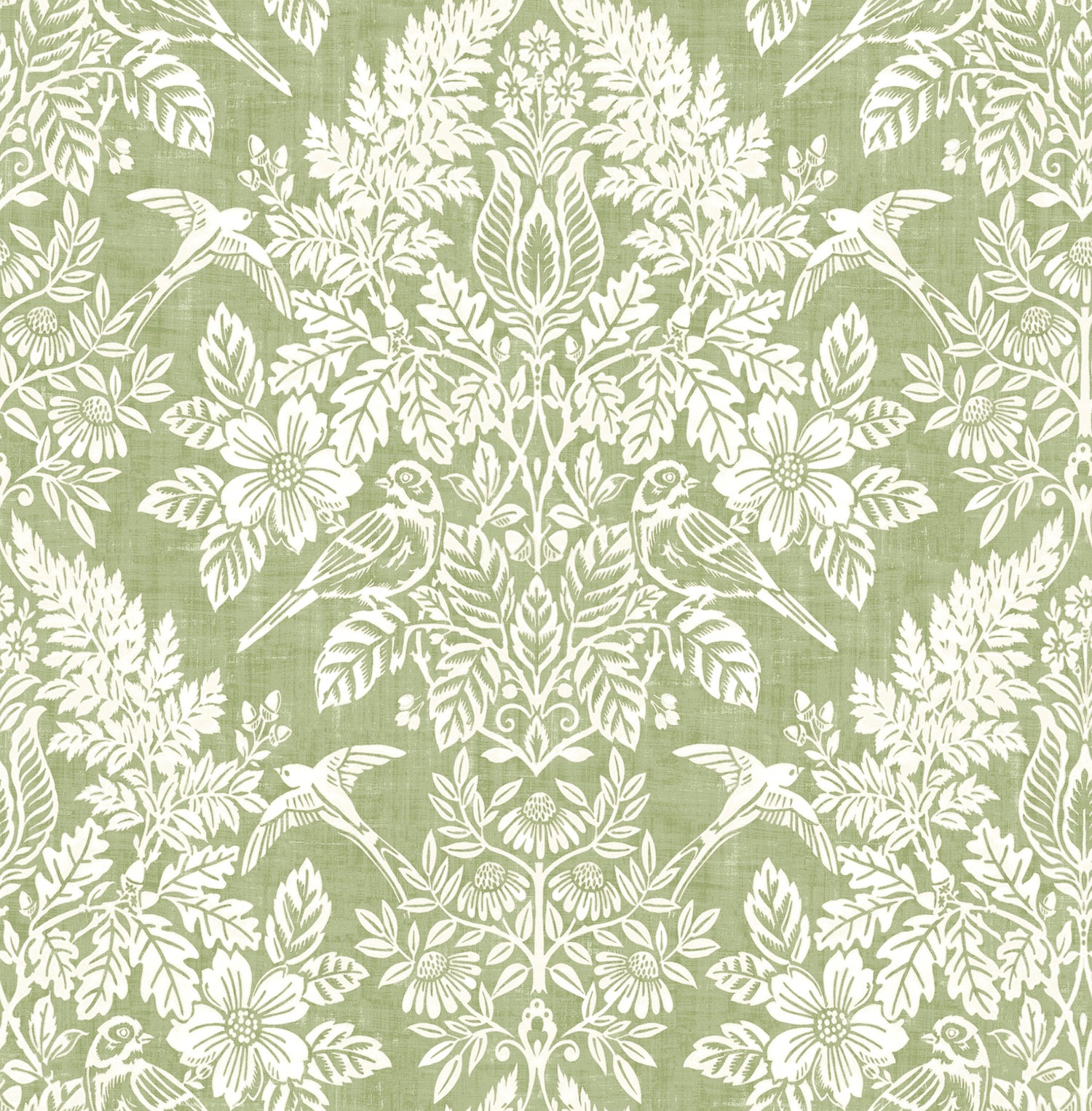Finch wallpaper in light green color - pattern number 4173-27620 - by A Street Prints in the Chris Loves Julia collection