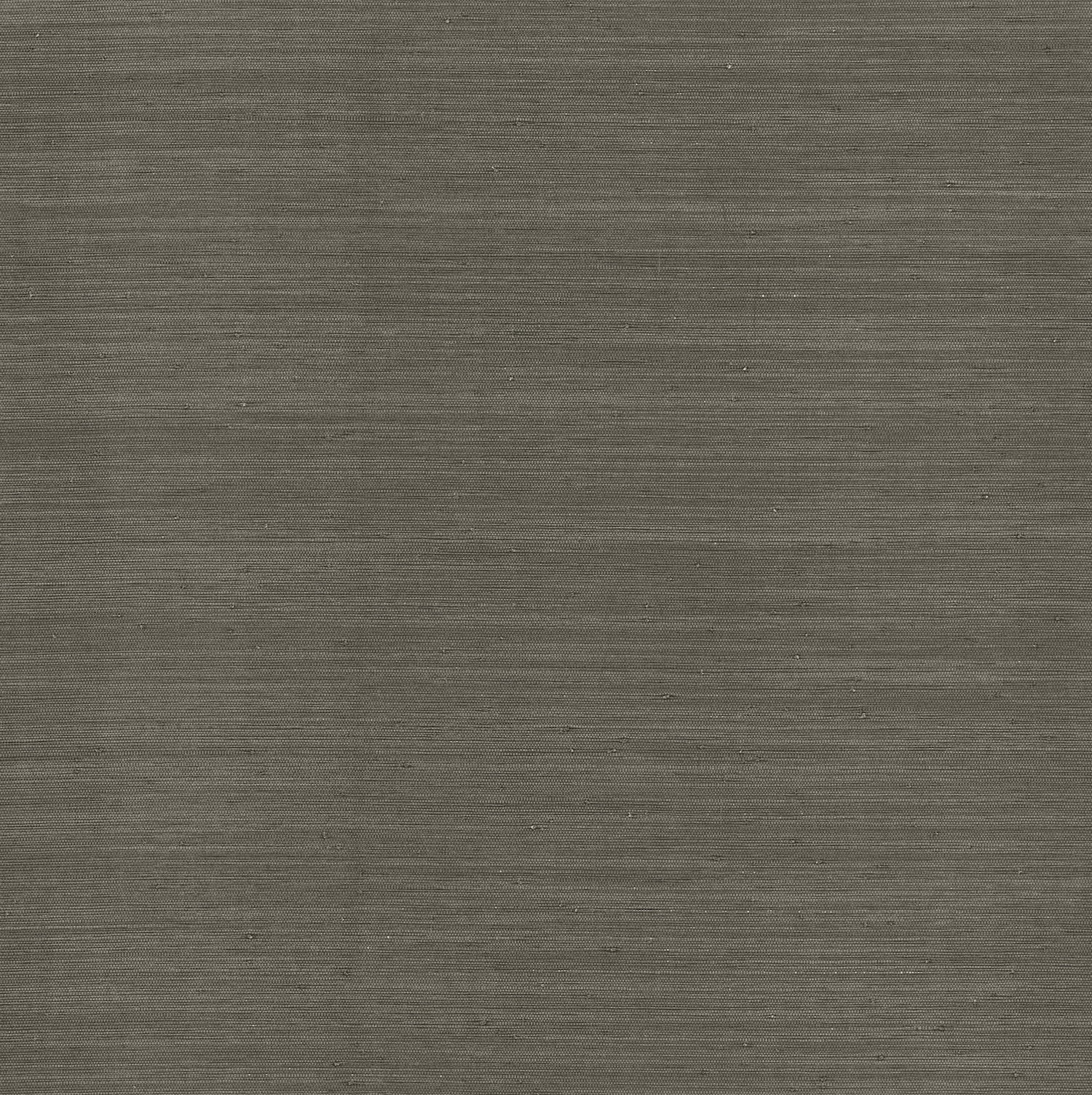 Mycroft wallpaper in slate color - pattern number 4173-82103 - by A Street Prints in the Chris Loves Julia collection