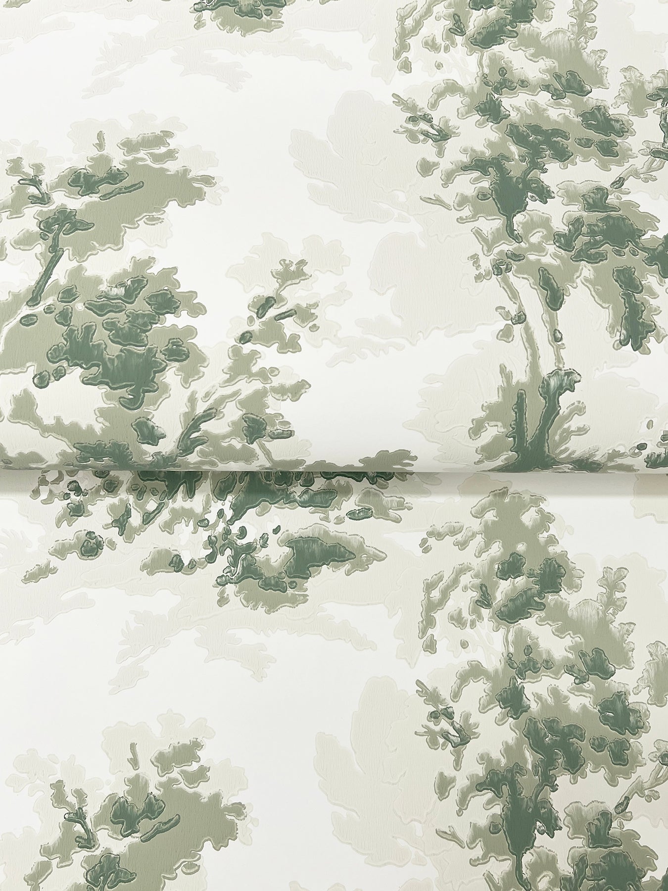 Sainsbury wallpaper in sage color - pattern number 4173-82104 - by A Street Prints in the Chris Loves Julia collection
