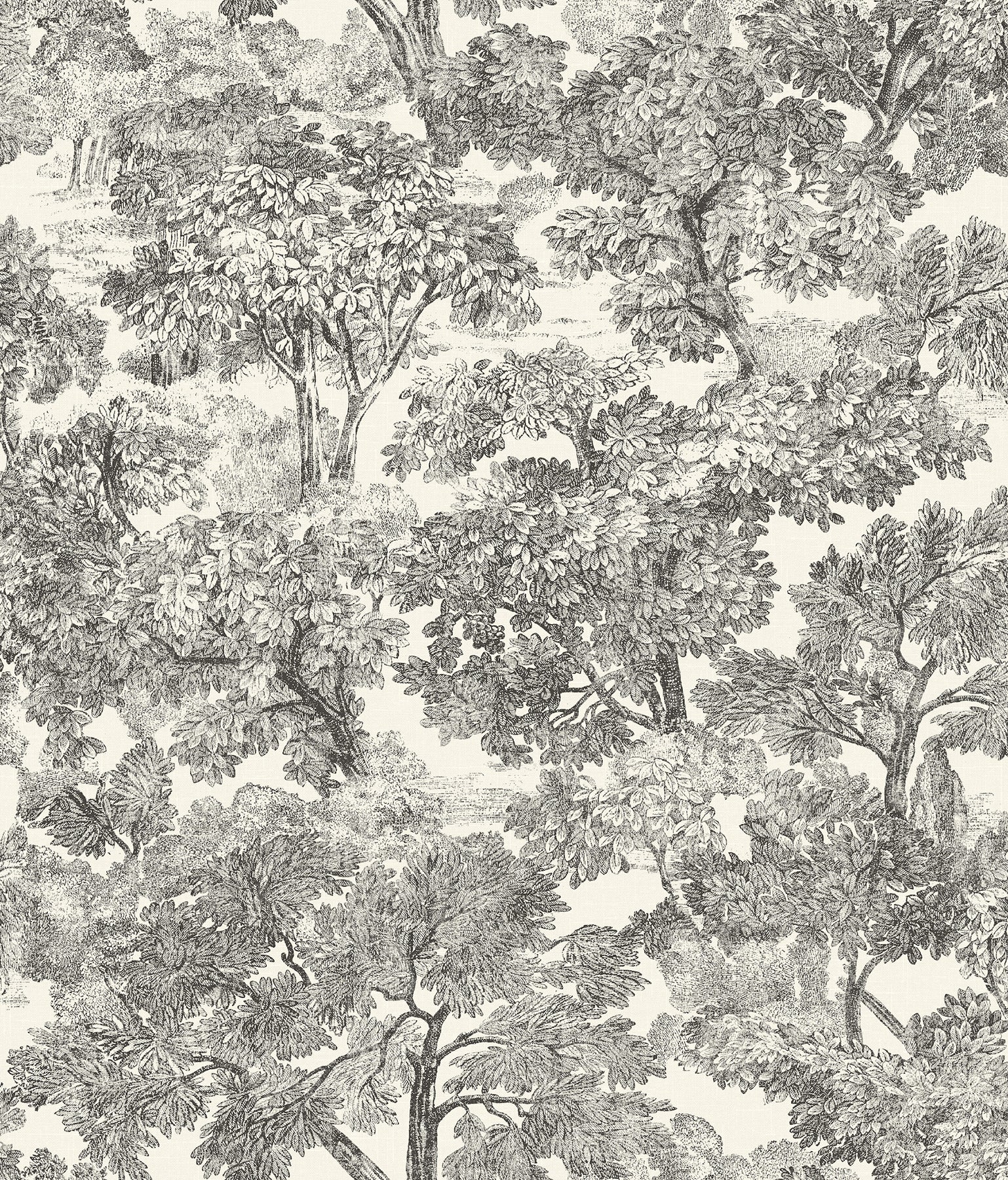 Spinney Toile Wallpaper in Black color - pattern number 4199-72558 - by Chesapeake in the Modern Farmhouse collection