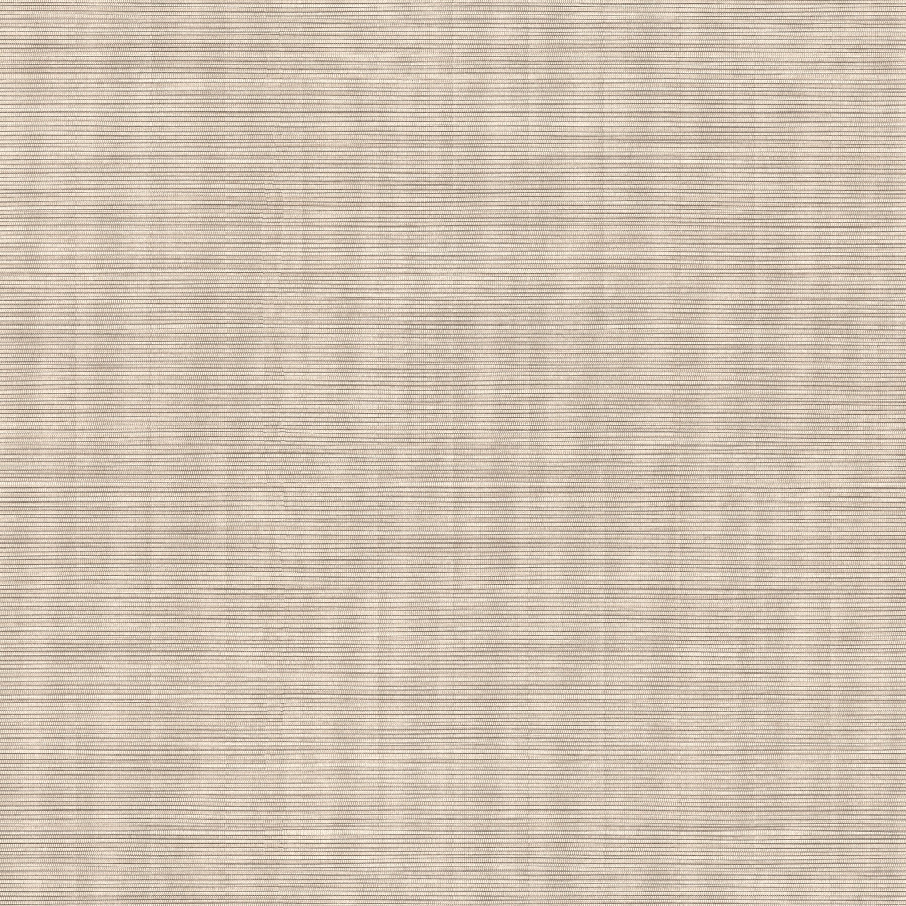 Lorn fabric in light brown color - pattern number 4207-5431 - by Warner in the Textures and Wovens Resource collection