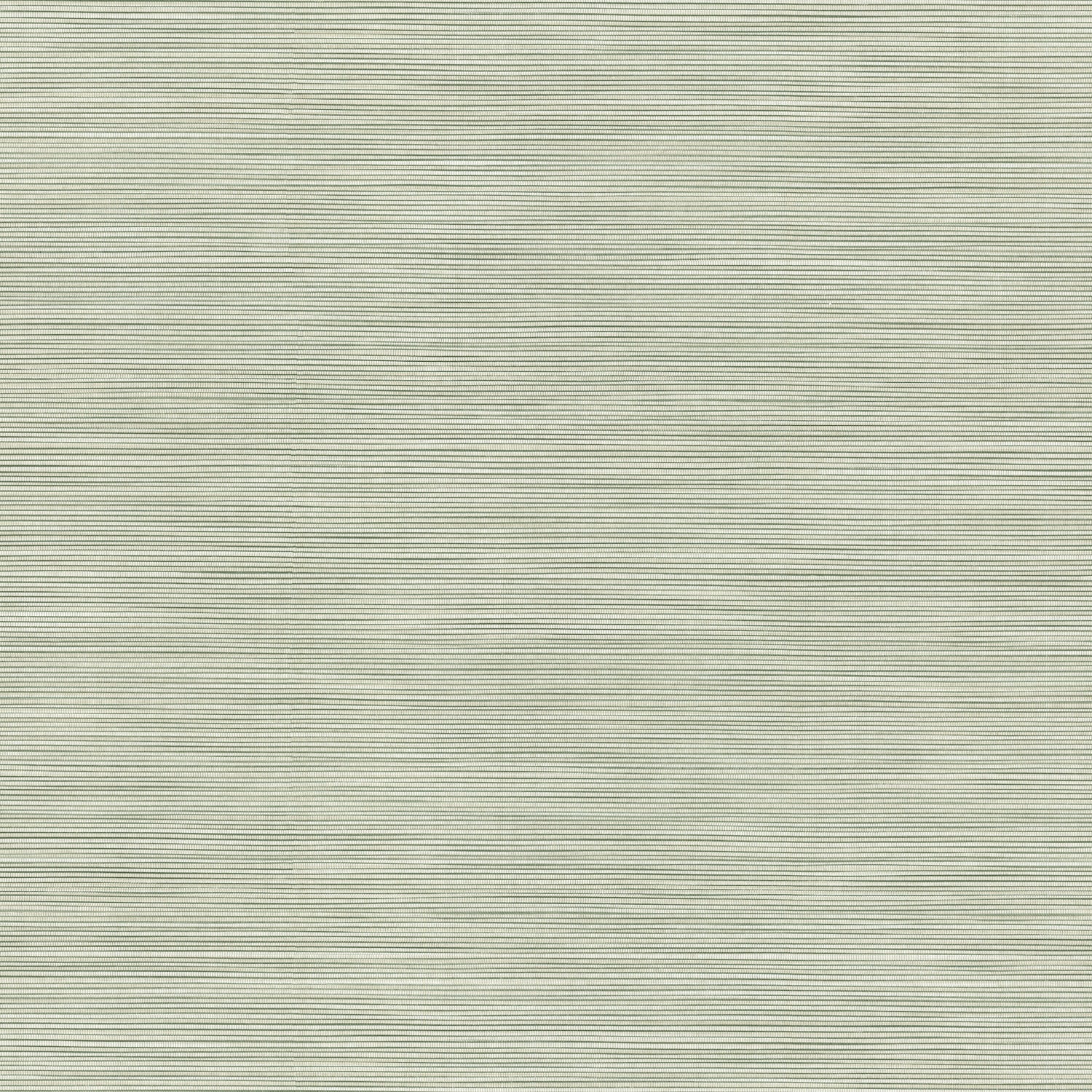 Lorn fabric in green color - pattern number 4207-5437 - by Warner in the Textures and Wovens Resource collection