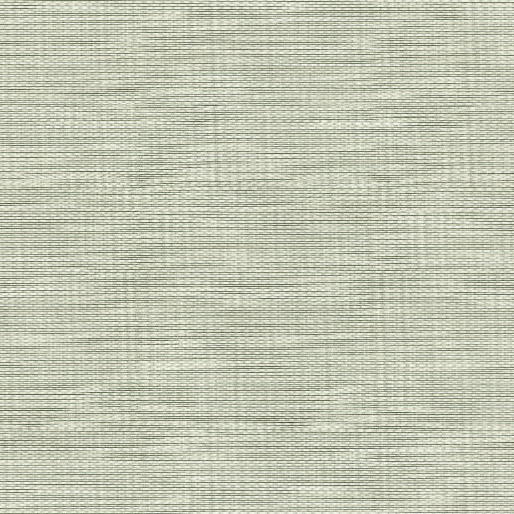 Lorn fabric in green color - pattern number 4207-5437 - by Warner in the Textures and Wovens Resource collection