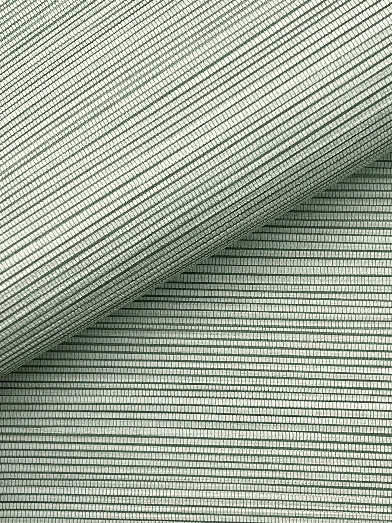 Lorn fabric in green color - pattern number 4207-5437 - by Warner in the Textures and Wovens Resource collection