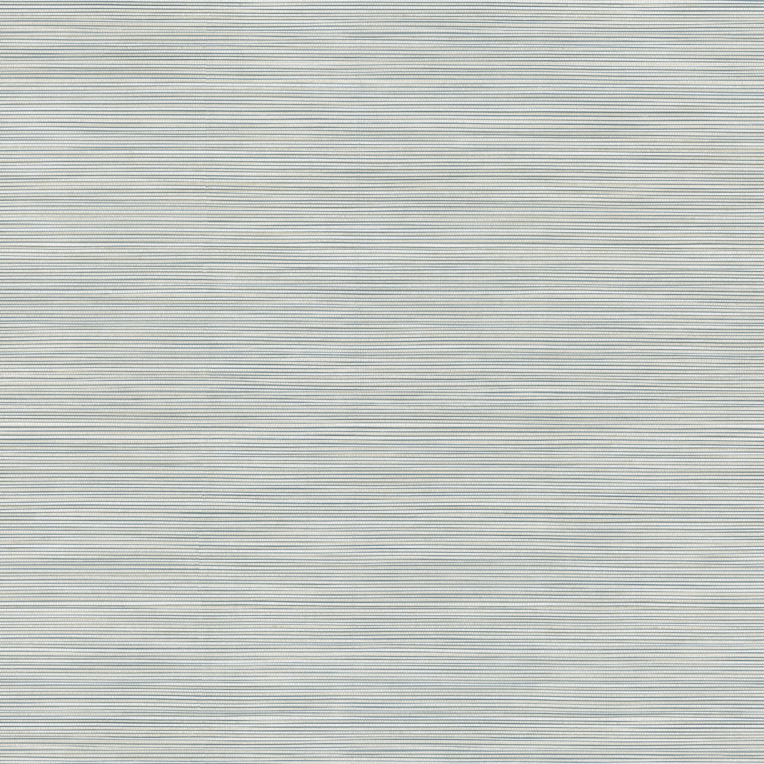 Lorn fabric in light blue color - pattern number 4207-5440 - by Warner in the Textures and Wovens Resource collection