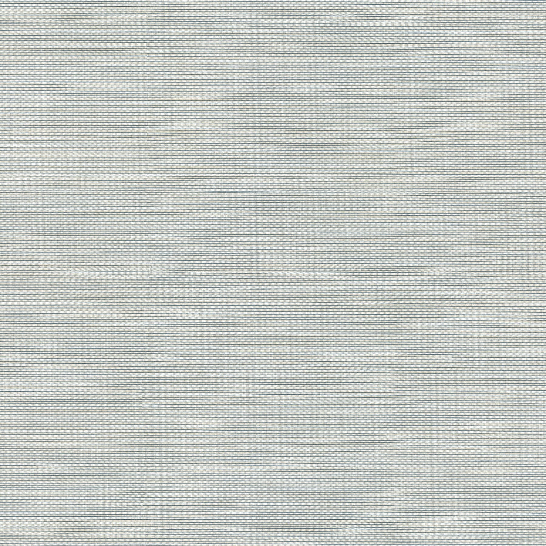 Lorn fabric in light blue color - pattern number 4207-5440 - by Warner in the Textures and Wovens Resource collection
