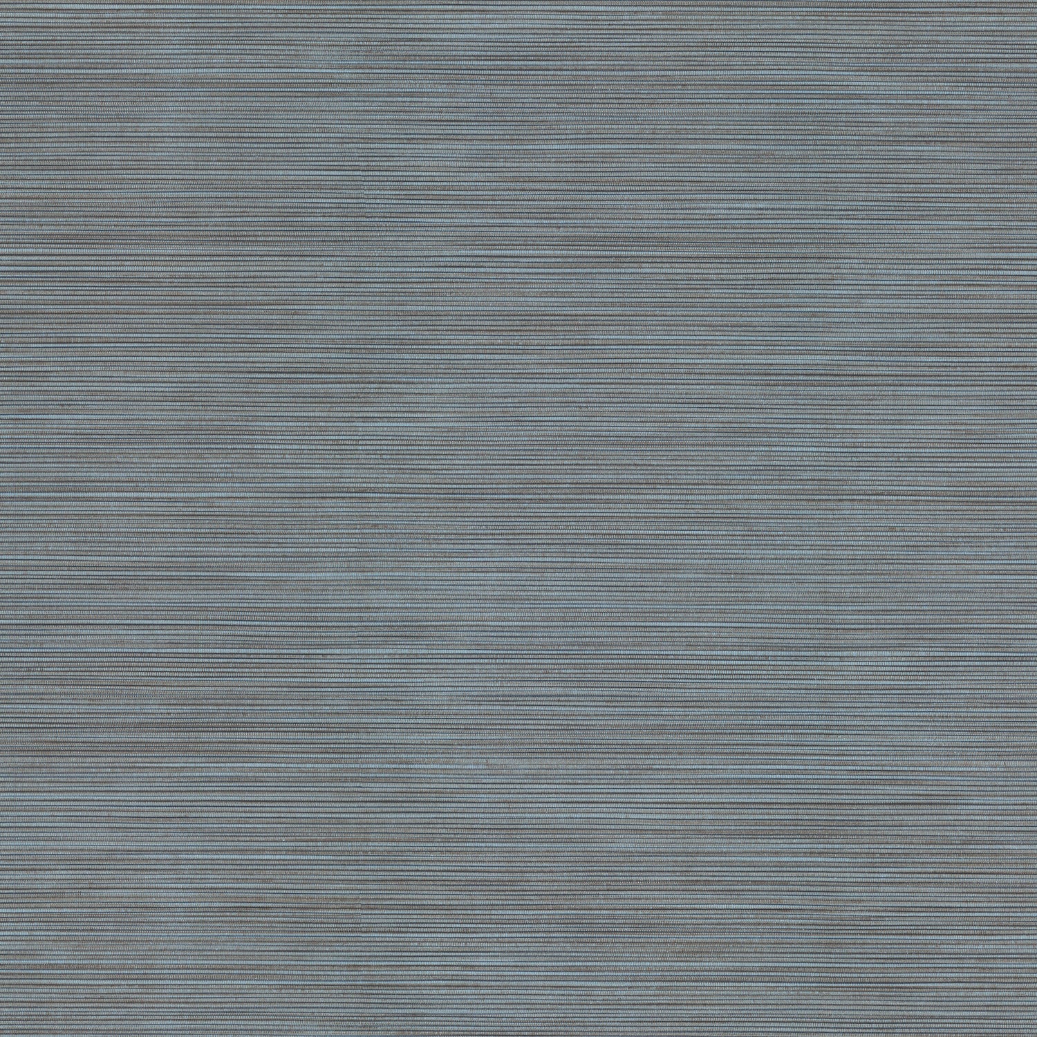 Lorn fabric in blue color - pattern number 4207-5441 - by Warner in the Textures and Wovens Resource collection