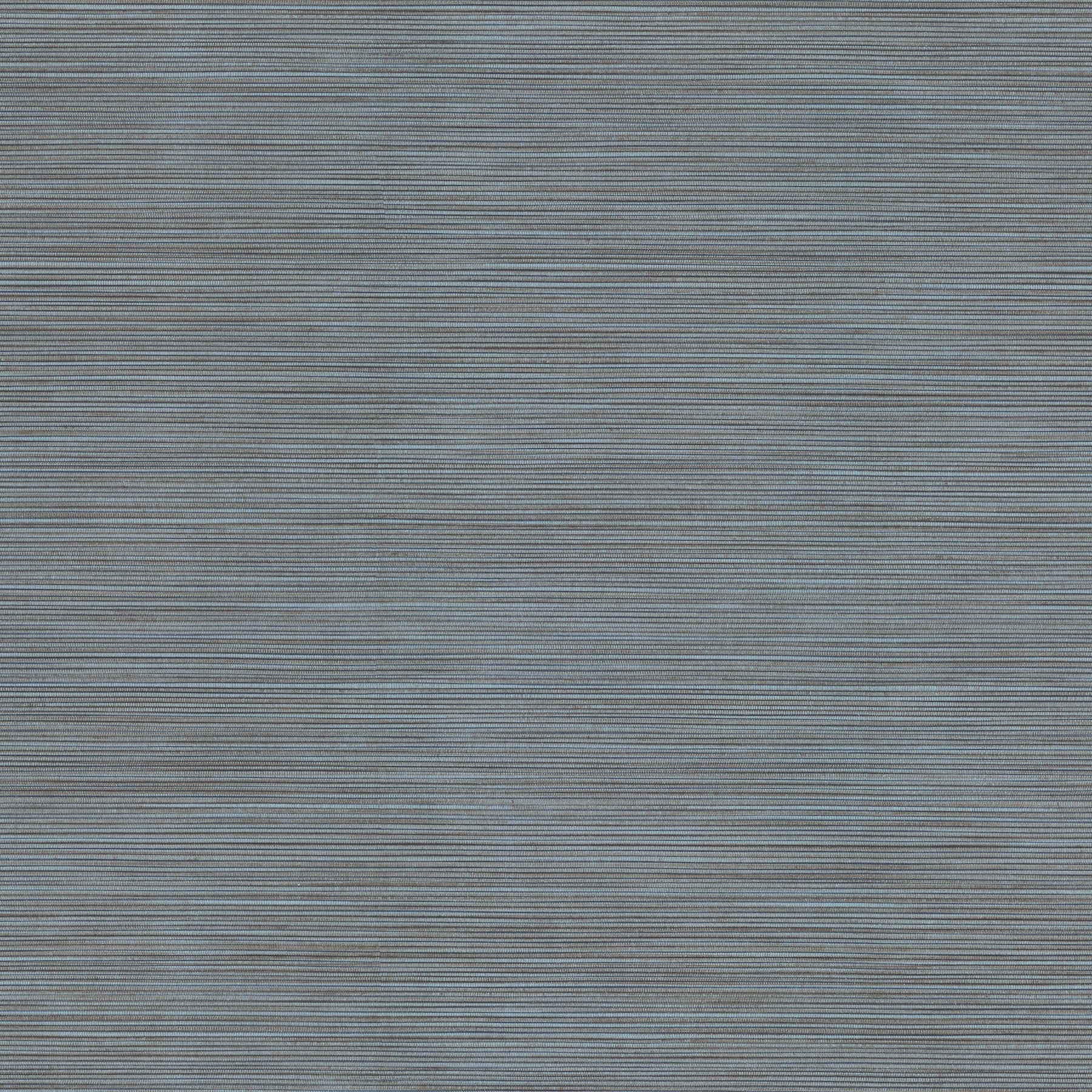 Lorn fabric in blue color - pattern number 4207-5441 - by Warner in the Textures and Wovens Resource collection