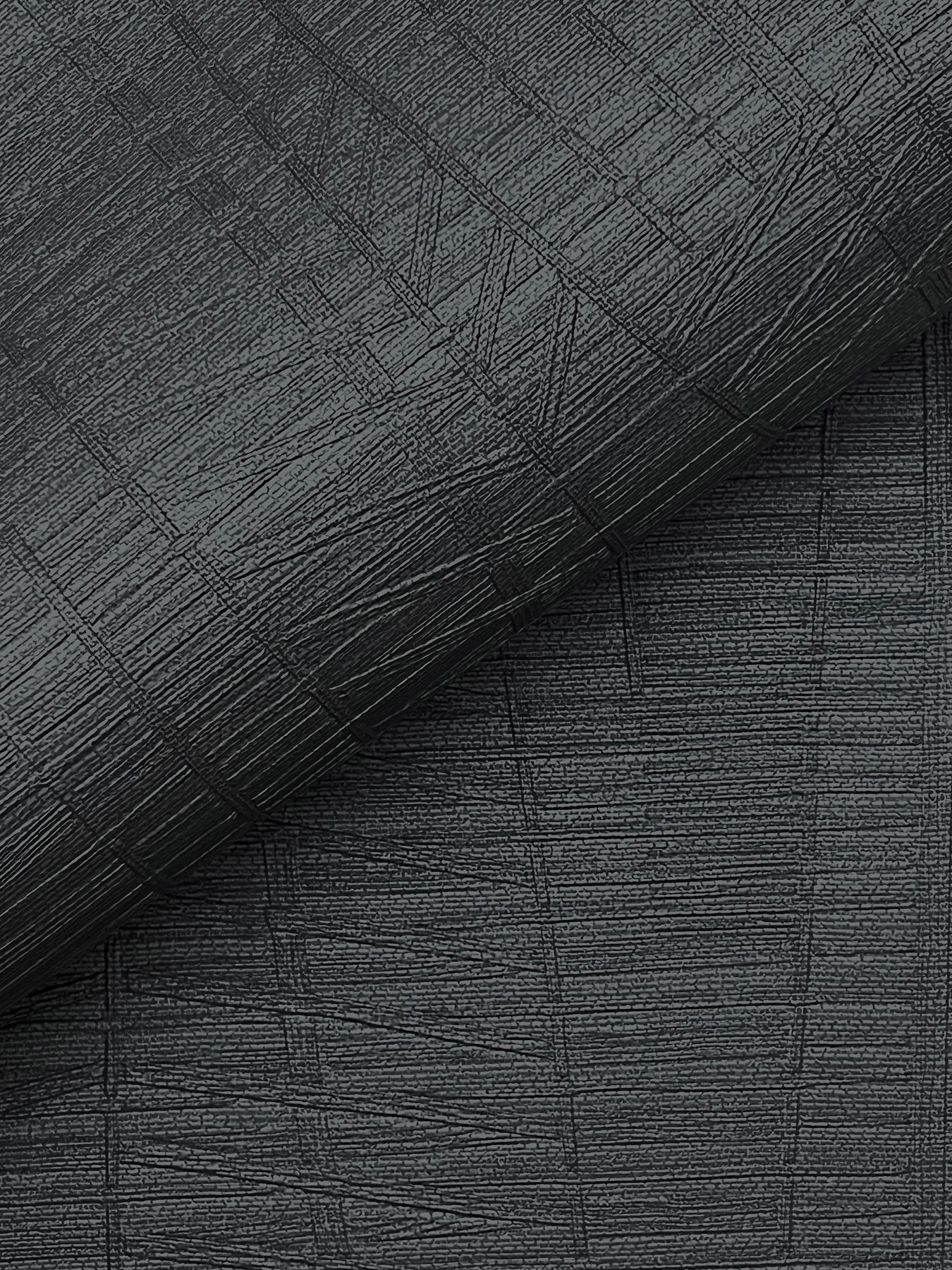 Amir wallpaper in black color - pattern number 4207-5448 - by Warner in the Textures and Wovens Resource collection