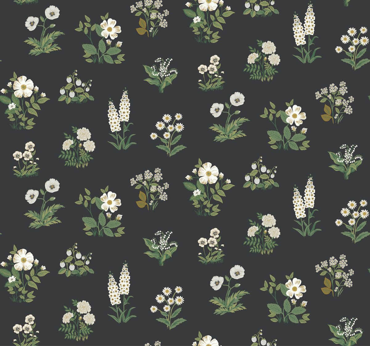 Botanical Wallpaper in Black color - pattern number 4212-84375 - by Rifle Paper Co in the Rifle Paper Co Fourth Edition collection