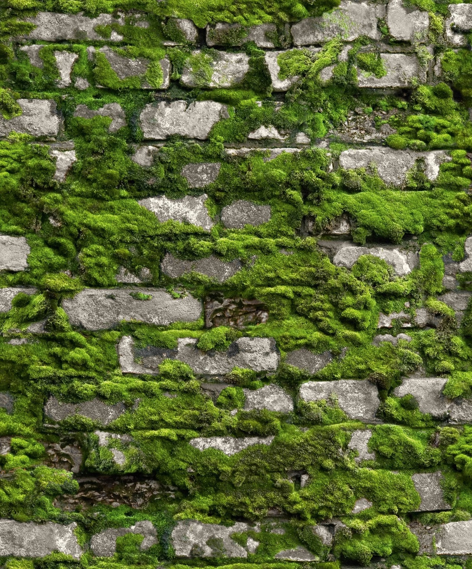 Stone optic wallpaper in green color - pattern number 45731 - by Galerie in the The Bricks And More collection
