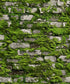 Stone optic wallpaper in green color - pattern number 45731 - by Galerie in the The Bricks And More collection