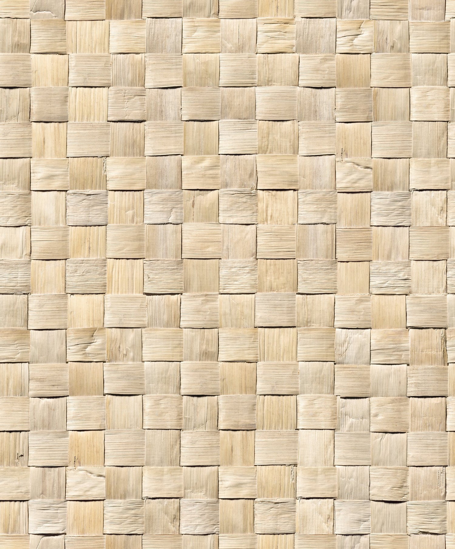 3D optics wallpaper in beige color - pattern number 45740 - by Galerie in the The Woods and Wicker collection