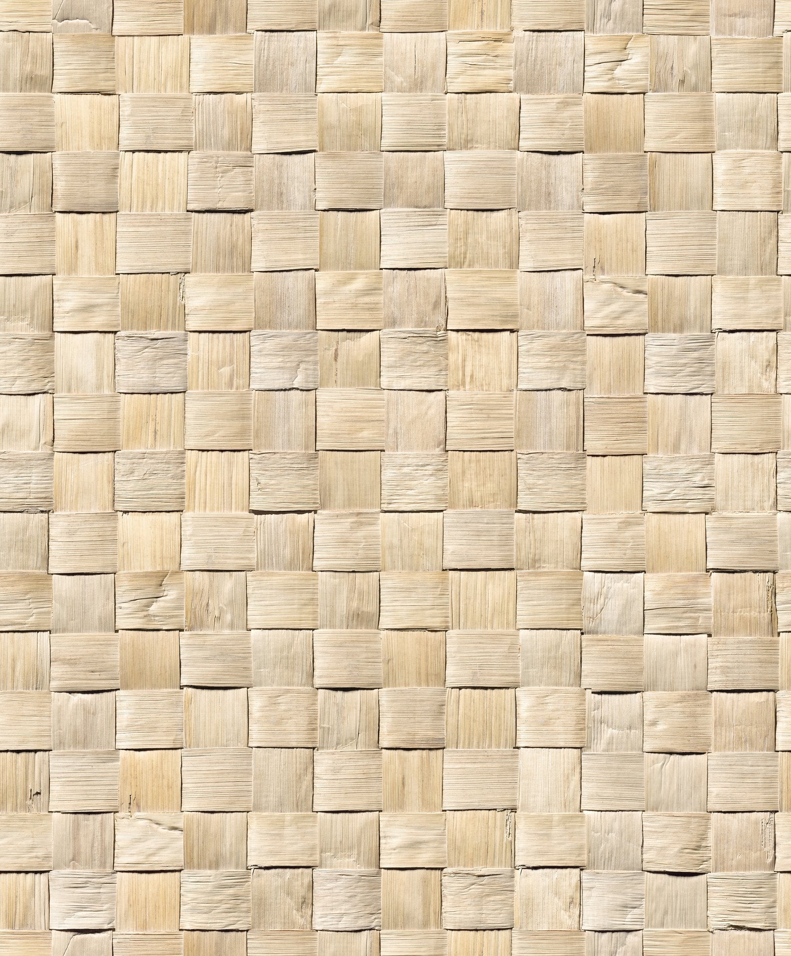 3D optics wallpaper in beige color - pattern number 45740 - by Galerie in the The Woods and Wicker collection