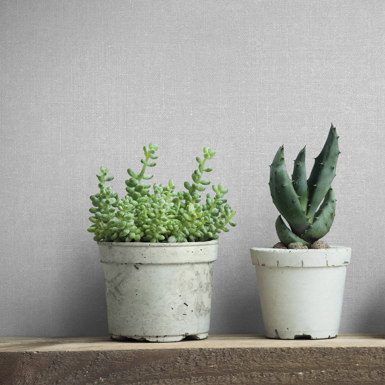 Uni wallpaper in silver grey color - pattern number 45776 - by Galerie in the The Bricks And More collection
