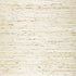 Jinan Arrowroot wallpaper in pewter color - pattern number 5000750 - by Schumacher in the Quiet Beauty collection