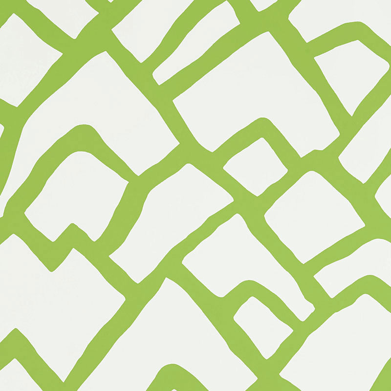Zimba wallpaper in lawn color - pattern number 5003306 - by Schumacher in the Drawn from Nature collection