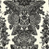 Lace wallpaper in black and ivory color - pattern number 5003320 - by Schumacher in the Avant Garde collection