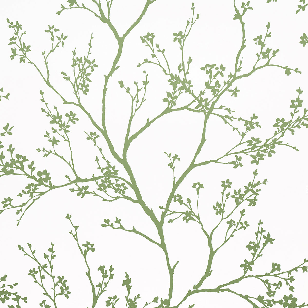 Twiggy wallpaper in green color - pattern number 5003345 - by Schumacher in the Moon River collection