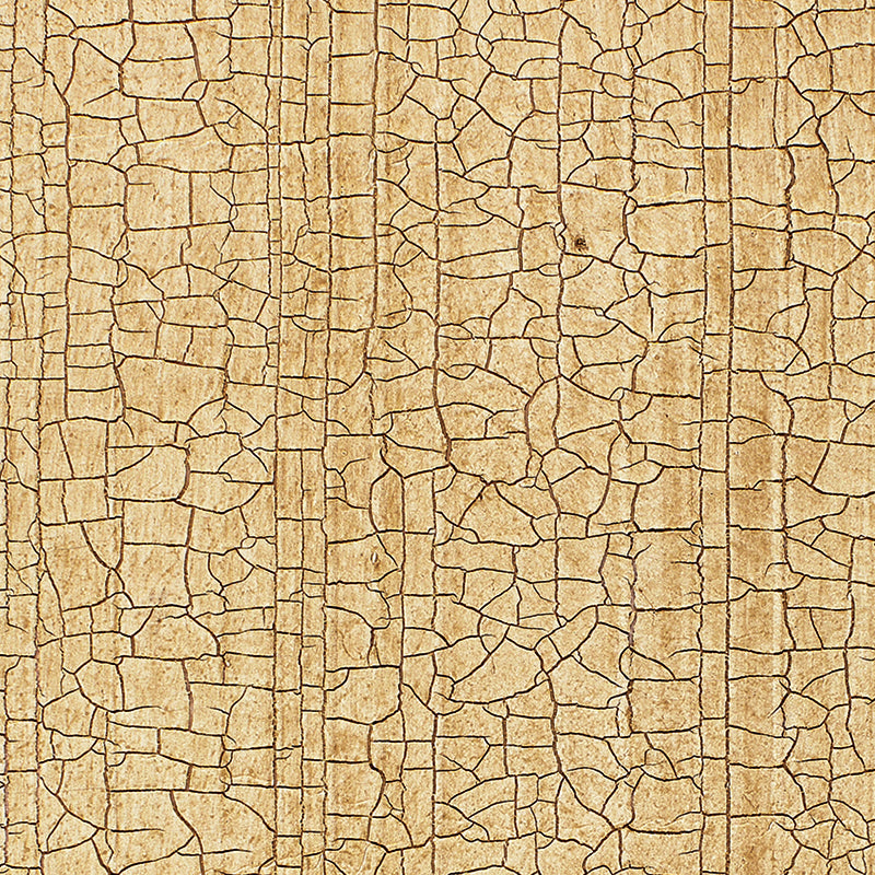 Masaccio Ground wallpaper in bisque color - pattern number 5003760 - by Schumacher in the Palazzo Damasks collection