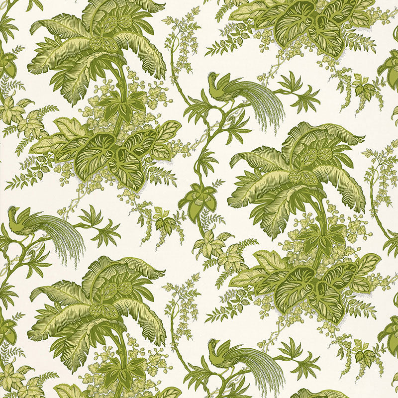 Coconut Grove wallpaper in leaf color - pattern number 5004053 - by Schumacher in the Classic Prints collection