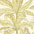 Blair House Palm wallpaper in kiwi color - pattern number 5004062 - by Schumacher in the Tropicana collection