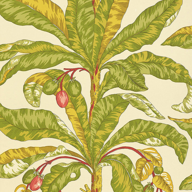 Blair House Palm wallpaper in tropical color - pattern number 5004063 - by Schumacher in the Tropicana collection