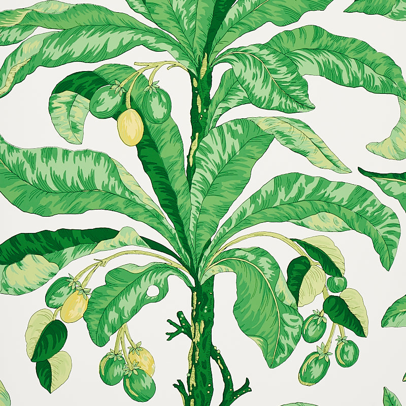 Blair House Palm wallpaper in green color - pattern number 5004064 - by Schumacher in the Copacabana collection
