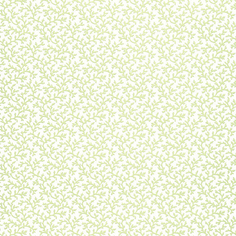 Coral Vine wallpaper in aloe color - pattern number 5004412 - by Schumacher in the Essential Wallcoverings Small Prints collection