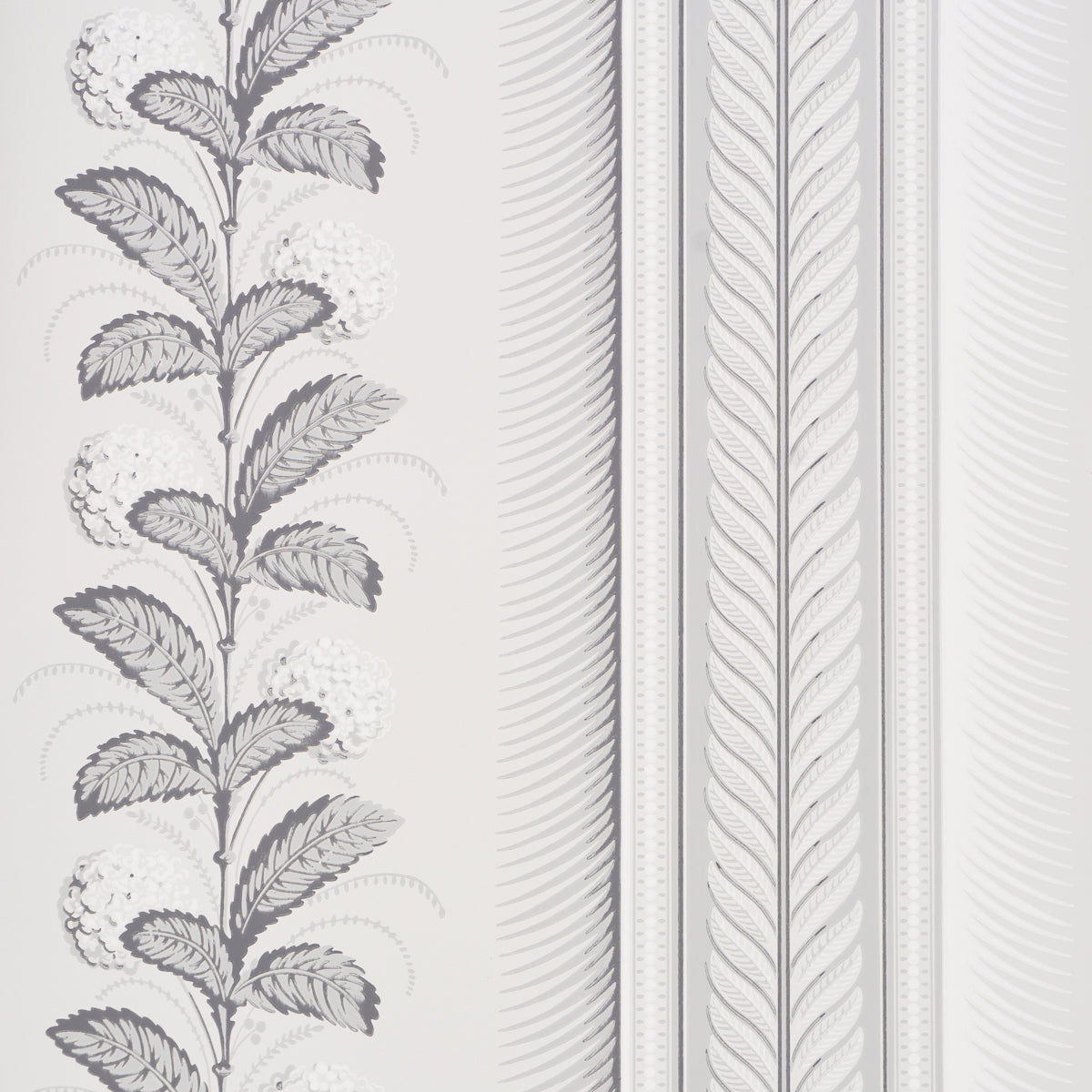 Hydrangea Drape wallpaper in grisaille color - pattern number 5004455 - by Schumacher in the Greenhouse Schumacher collection