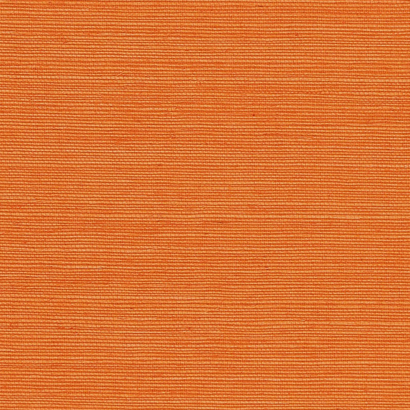Haruki Sisal wallpaper in mandarin color - pattern number 5004719 - by Schumacher in the Perfect Basics Haruki Sisal collection