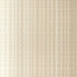 Urban Stripe fabric in silvered taupe color - pattern number 5005641 - by Schumacher in the Modern Glamour collection