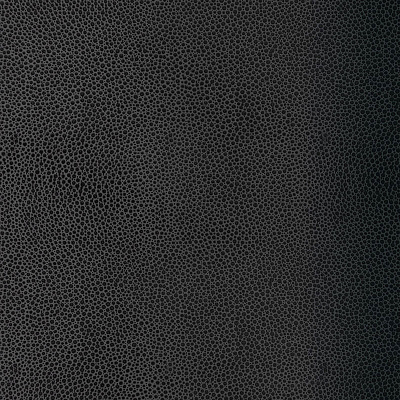 Shagreen fabric in carbon color - pattern number 5005854 - by Schumacher in the Fabulous Faux collection