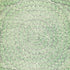 Feather Bloom Sisal fabric in emerald and ore color - pattern number 5006072 - by Schumacher in the Celerie Kemble collection
