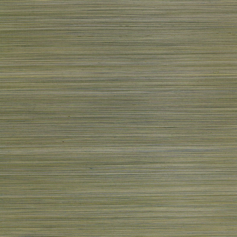 Zen Bamboo wallpaper in sage color - pattern number 5006401 - by Schumacher in the Quiet Beauty collection