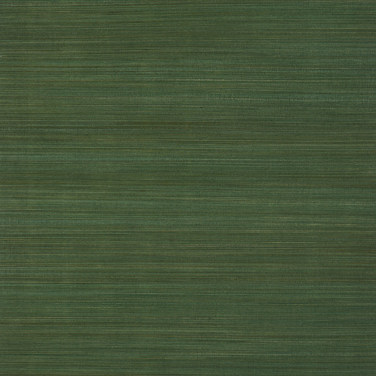 Zen Bamboo Wallpaper in Palm color - pattern number 5006405 - by Schumacher in the Perfect Basics Textured Wallcovering collection