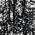 Woodland fabric in night color - pattern number 5007444 - by Schumacher in the Drawn from Nature collection